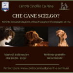 Che cane scelgo?