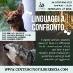 LINGUAGGI A CONFRONTO