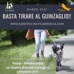 ORA BASTA TIRARE AL GUINZAGLIO!