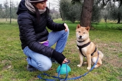 educazione-3