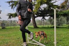 educazione-5