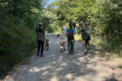 tartufi-camp-2