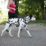 Educazione di base: Cane Felice, Vita Serena