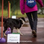 Rally-Obedience