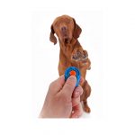 CLICKER TRAINING