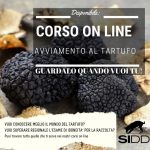 E-learning: PREPARAZIONE TEORICA ALL’ESAME DI ABILITAZIONE PER RACCOLTA TARTUFI