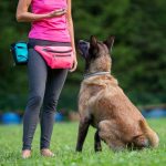 E-learning: LA TEORIA DELL’APPRENDIMENTO DEL CANE